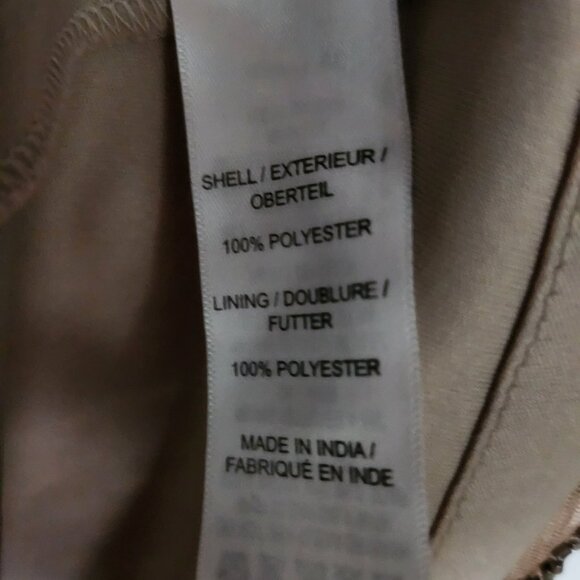 Adrianna Papell Beaded Mesh (Champagne Gold) Floor Length Gown, Size 12 - Picture 7 of 7